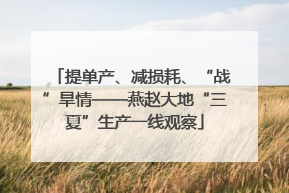 提单产、减损耗、“战”旱情——燕赵大地“三夏”生产一线观察