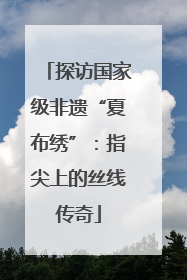 探访国家级非遗“夏布绣”：指尖上的丝线传奇