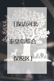 探访河北秦皇岛综合保税区