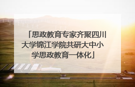 思政教育专家齐聚四川大学锦江学院共研大中小学思政教育一体化