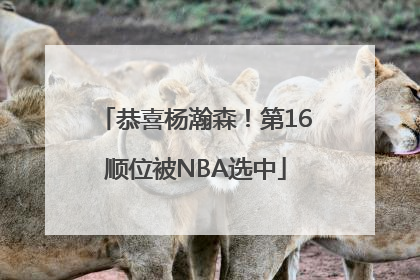 恭喜杨瀚森！第16顺位被NBA选中