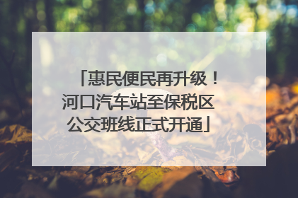 惠民便民再升级！河口汽车站至保税区公交班线正式开通