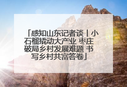 感知山东记者谈丨小石榴撬动大产业 枣庄破局乡村发展难题 书写乡村共富答卷
