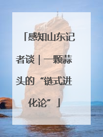 感知山东记者谈｜一颗蒜头的“链式进化论”