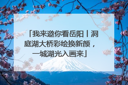 我来邀你看岳阳丨洞庭湖大桥彩绘换新颜，一城湖光入画来