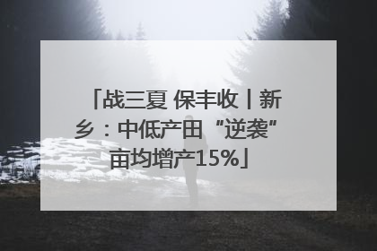 战三夏 保丰收丨新乡：中低产田“逆袭” 亩均增产15%