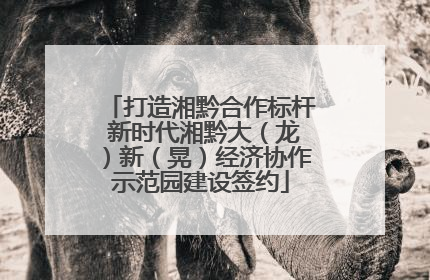 打造湘黔合作标杆 新时代湘黔大（龙）新（晃）经济协作示范园建设签约