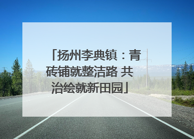 扬州李典镇：青砖铺就整洁路 共治绘就新田园