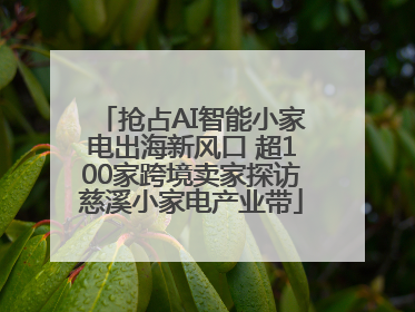 抢占AI智能小家电出海新风口 超100家跨境卖家探访慈溪小家电产业带