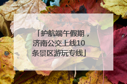 护航端午假期，济南公交上线10条景区游玩专线