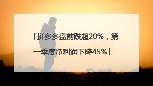 拼多多盘前跌超20%，第一季度净利润下降45%