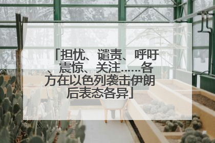担忧、谴责、呼吁、震惊、关注……各方在以色列袭击伊朗后表态各异