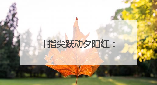指尖跃动夕阳红：雁塔区老年大学钢琴汇报演出圆满落幕