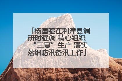 杨国强在利津县调研时强调 精心组织“三夏”生产 落实落细防汛备汛工作