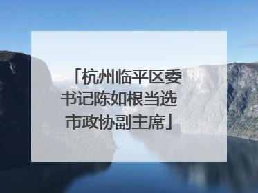 杭州临平区委书记陈如根当选市政协副主席