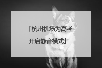杭州机场为高考开启静音模式