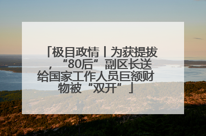 极目政情丨为获提拔，“80后”副区长送给国家工作人员巨额财物被“双开”
