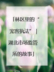 林区里的“宠客执法”｜湖北市场监管所的故事