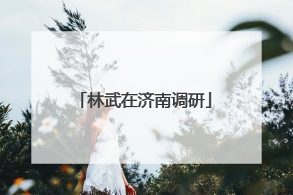 林武在济南调研