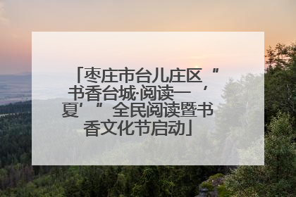 枣庄市台儿庄区“书香台城·阅读一‘夏’”全民阅读暨书香文化节启动