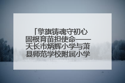 擎旗铸魂守初心 固根育苗担使命——天长市炳辉小学与萧县师范学校附属小学结对共建活动纪实