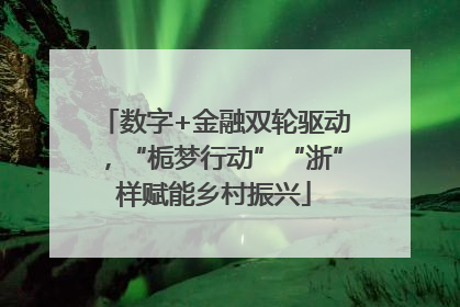 数字+金融双轮驱动，“栀梦行动”“浙”样赋能乡村振兴
