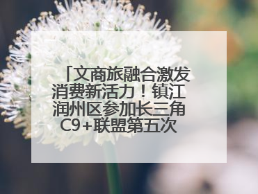文商旅融合激发消费新活力！镇江润州区参加长三角C9+联盟第五次联席会议
