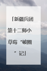 新疆兵团第十二师小草莓“破圈”记