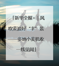 新华全媒+｜风吹麦浪好“丰”景——多地小麦机收一线见闻