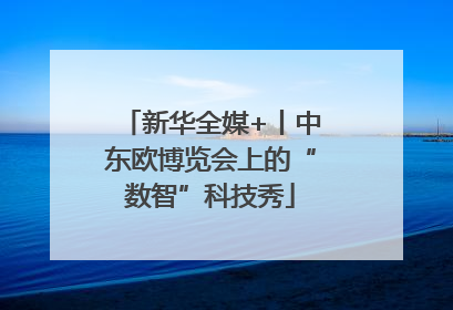 新华全媒+丨中东欧博览会上的“数智”科技秀
