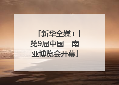 新华全媒+丨第9届中国—南亚博览会开幕