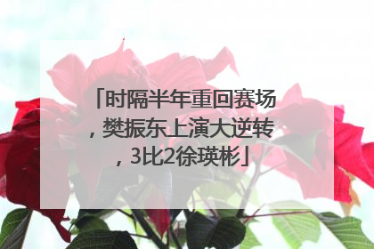 时隔半年重回赛场，樊振东上演大逆转，3比2徐瑛彬