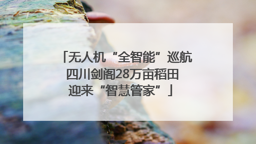 无人机“全智能”巡航 四川剑阁28万亩稻田迎来“智慧管家”