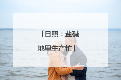 日照：盐碱地里生产忙