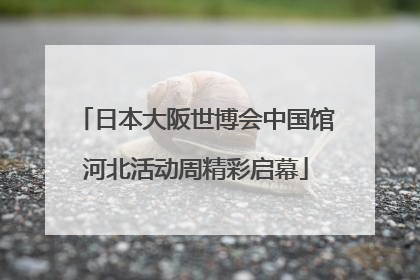 日本大阪世博会中国馆河北活动周精彩启幕