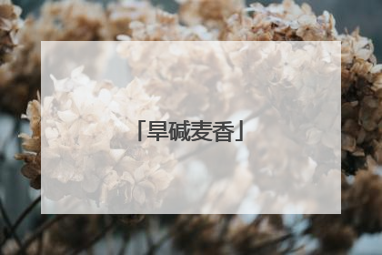 旱碱麦香