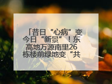 昔日“心病”变今日“新景”！东高地万源南里26栋楼前绿地变“共享花园”