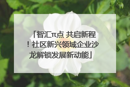 智汇π点 共启新程！社区新兴领域企业沙龙解锁发展新动能