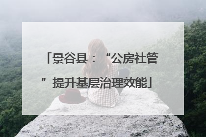 景谷县：“公房社管”提升基层治理效能