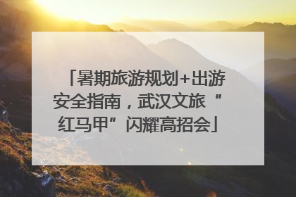 暑期旅游规划+出游安全指南，武汉文旅“红马甲”闪耀高招会