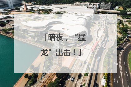 暗夜，“猛龙”出击！