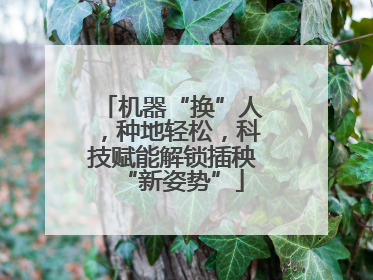 机器“换”人，种地轻松，科技赋能解锁插秧“新姿势”