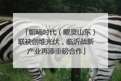 朝曦时代（曜灵山东）联袂创维光伏，临沂战新产业再添重磅合作