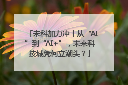 未科加力冲丨从“AI”到“AI+”，未来科技城凭何立潮头？