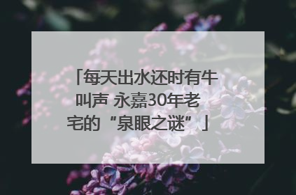 每天出水还时有牛叫声 永嘉30年老宅的“泉眼之谜”