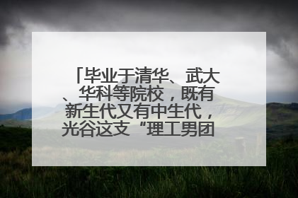 毕业于清华、武大、华科等院校，既有新生代又有中生代，光谷这支“理工男团”为何“出道”？