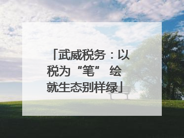 武威税务：以税为“笔” 绘就生态别样绿