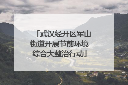 武汉经开区军山街道开展节前环境综合大整治行动