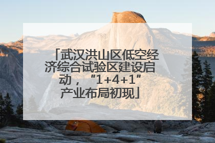 武汉洪山区低空经济综合试验区建设启动，“1+4+1”产业布局初现