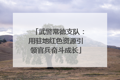 武警常德支队：用驻地红色资源引领官兵奋斗成长